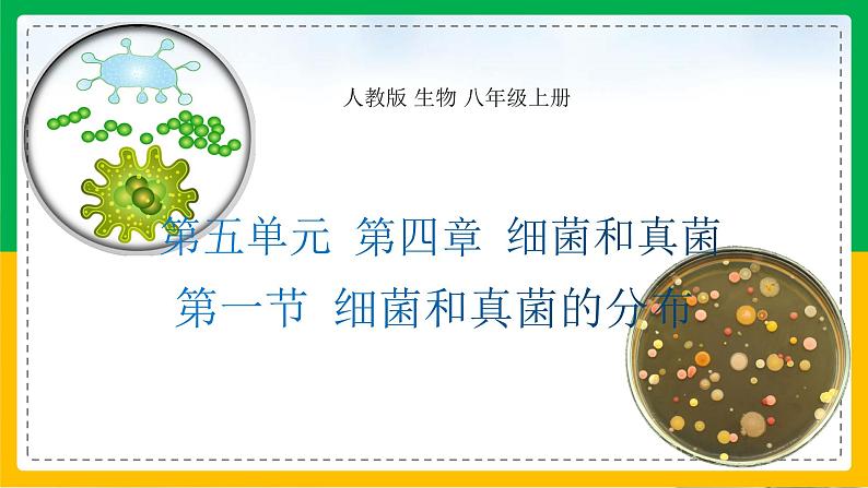 5.4.1+细菌和真菌的分布（同步课件+同步练习）-2023-2024学年八年级生物上册同步精品课堂（人教版）01