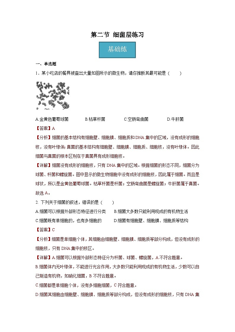 5.4.2 细菌（分层练习）（解析版）第1页