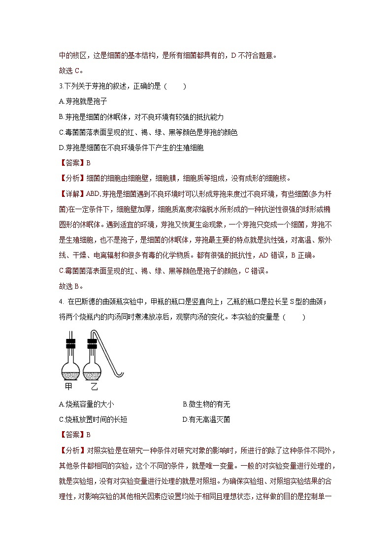 5.4.2 细菌（分层练习）（解析版）第2页