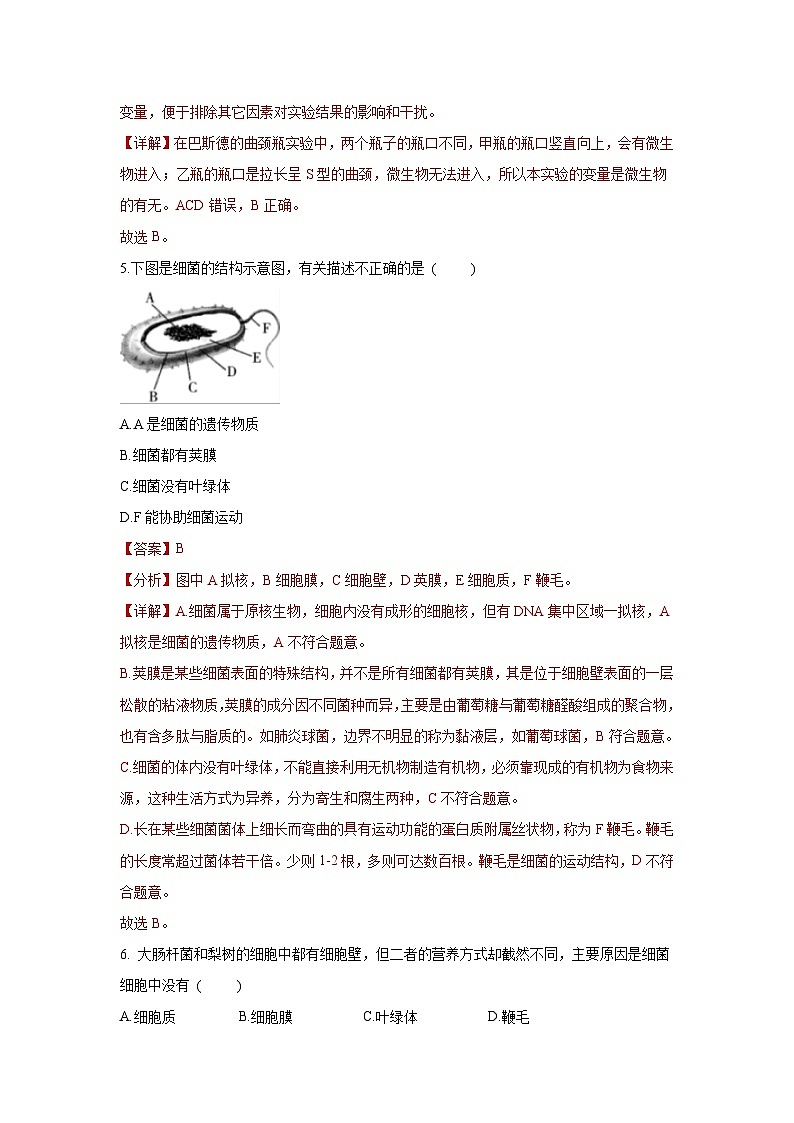 5.4.2 细菌（分层练习）（解析版）第3页