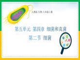 5.4.2+细菌（同步课件+同步练习）-2023-2024学年八年级生物上册同步精品课堂（人教版）