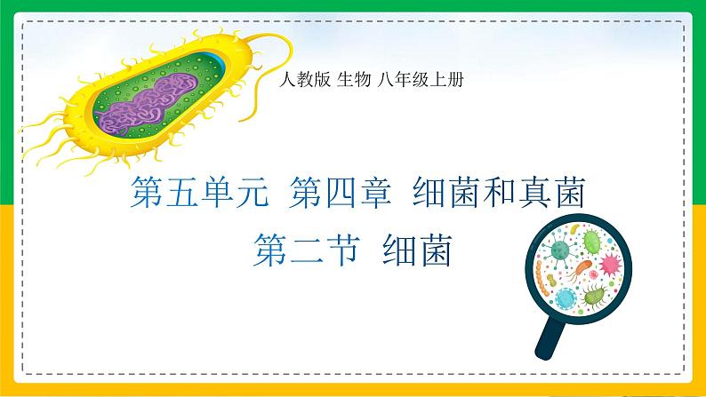 5.4.2+细菌（教学课件）-2023-2024学年八年级生物上册同步精品课堂（人教版）第1页