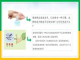 5.4.2+细菌（同步课件+同步练习）-2023-2024学年八年级生物上册同步精品课堂（人教版）