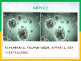 5.4.2+细菌（同步课件+同步练习）-2023-2024学年八年级生物上册同步精品课堂（人教版）