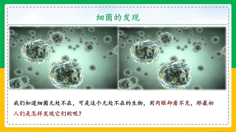 5.4.2+细菌（教学课件）-2023-2024学年八年级生物上册同步精品课堂（人教版）第3页