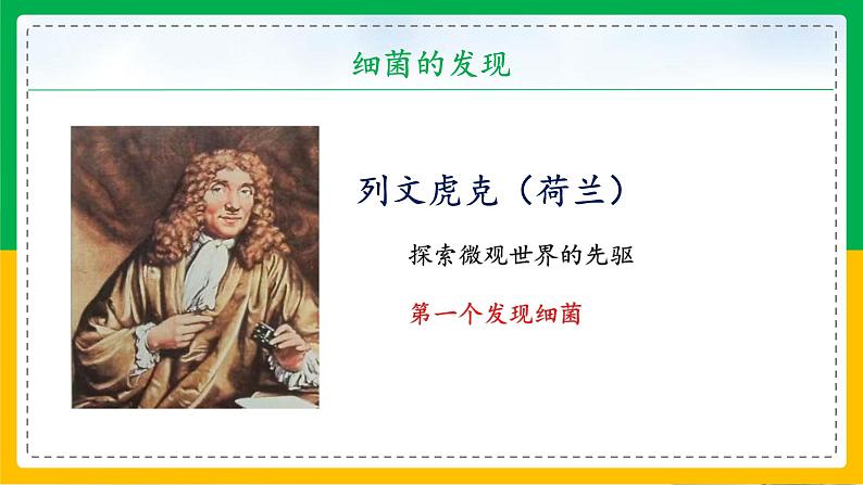 5.4.2+细菌（教学课件）-2023-2024学年八年级生物上册同步精品课堂（人教版）第4页