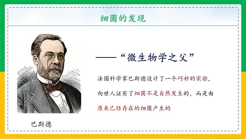 5.4.2+细菌（教学课件）-2023-2024学年八年级生物上册同步精品课堂（人教版）第7页