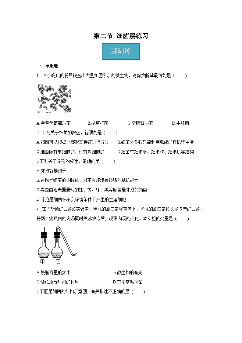 5.4.2 细菌（分层练习）（原卷版）第1页