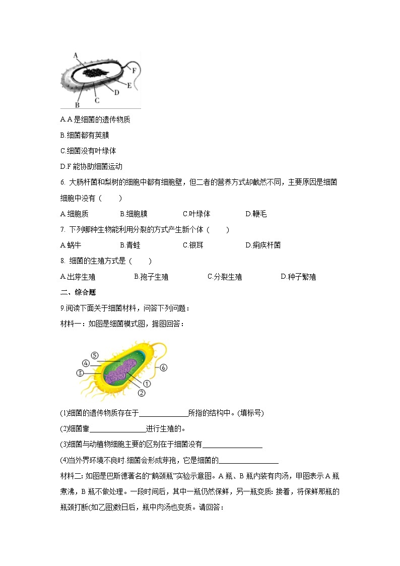 5.4.2 细菌（分层练习）（原卷版）第2页