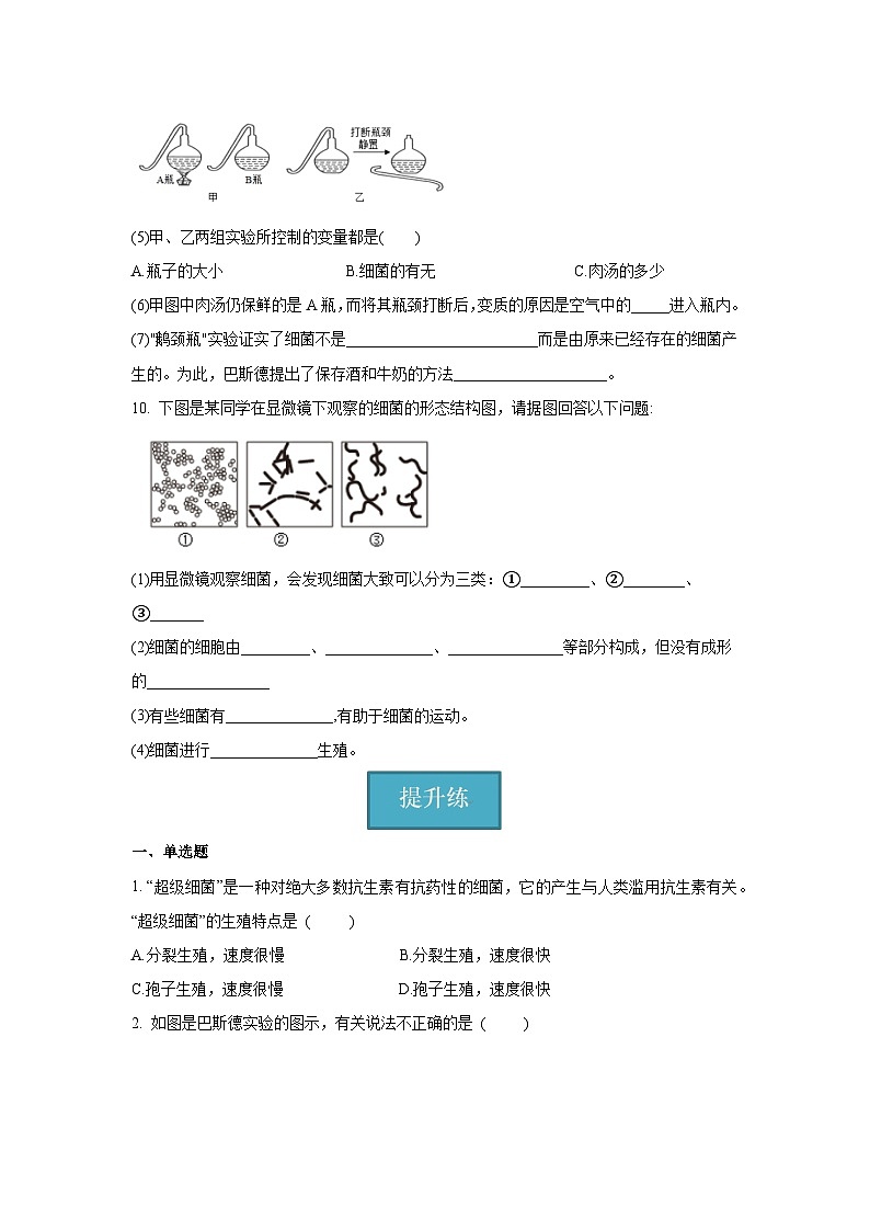 5.4.2 细菌（分层练习）（原卷版）第3页