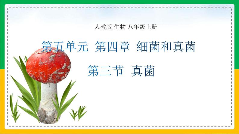 5.4.3+真菌（教学课件）-2023-2024学年八年级生物上册同步精品课堂（人教版）第1页