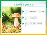 5.4.4+细菌和真菌在自然界中的作用（同步课件+同步练习）-2023-2024学年八年级生物上册同步精品课堂（人教版）