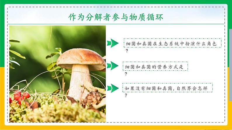 5.4.4+细菌和真菌在自然界中的作用（教学课件）-2023-2024学年八年级生物上册同步精品课堂（人教版）第4页