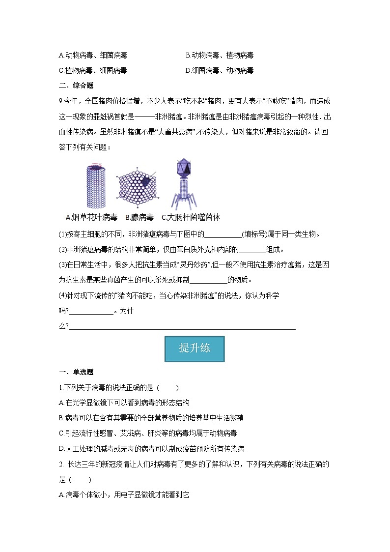 5.5 病毒（原卷版）第2页