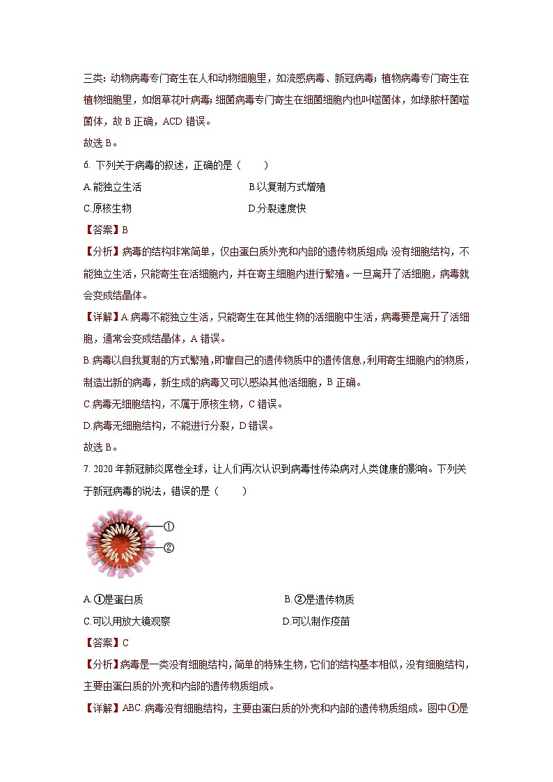 5.5 病毒（解析版）第3页