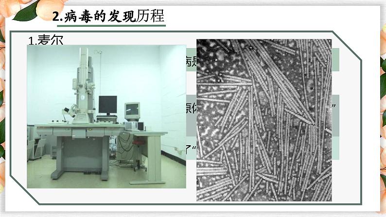 5.5 病毒（同课异构课件）第8页