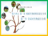 6.1.1+尝试对生物进行分类（同步课件+同步练习）-2023-2024学年八年级生物上册同步精品课堂（人教版）