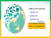 6.1.1+尝试对生物进行分类（同步课件+同步练习）-2023-2024学年八年级生物上册同步精品课堂（人教版）