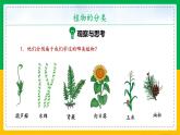6.1.1+尝试对生物进行分类（同步课件+同步练习）-2023-2024学年八年级生物上册同步精品课堂（人教版）