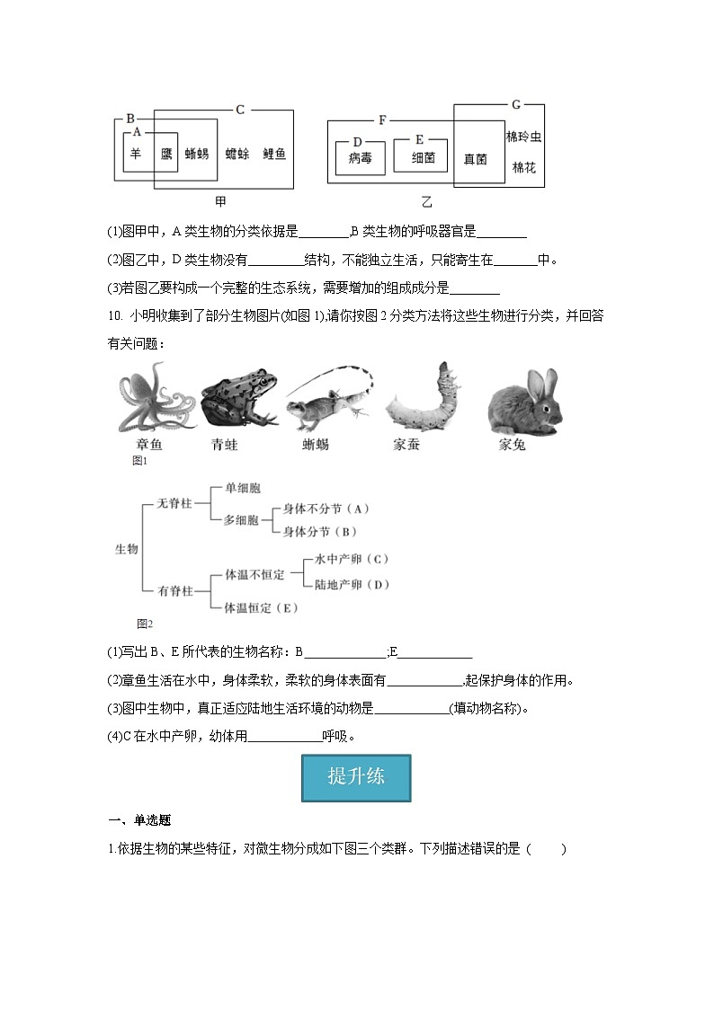 6.1.1 尝试对生物进行分类（原卷版）第3页