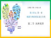 6.1.2+从种到界（同步课件+同步练习）-2023-2024学年八年级生物上册同步精品课堂（人教版）