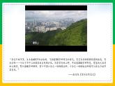 6.2+认识生物的多样性（同步课件+同步练习）-2023-2024学年八年级生物上册同步精品课堂（人教版）