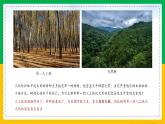 6.2+认识生物的多样性（同步课件+同步练习）-2023-2024学年八年级生物上册同步精品课堂（人教版）