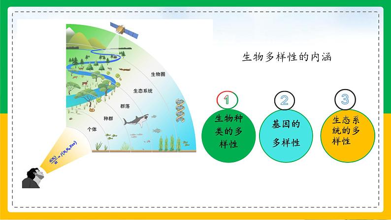 6.2+认识生物的多样性（同步课件+同步练习）-2023-2024学年八年级生物上册同步精品课堂（人教版）04