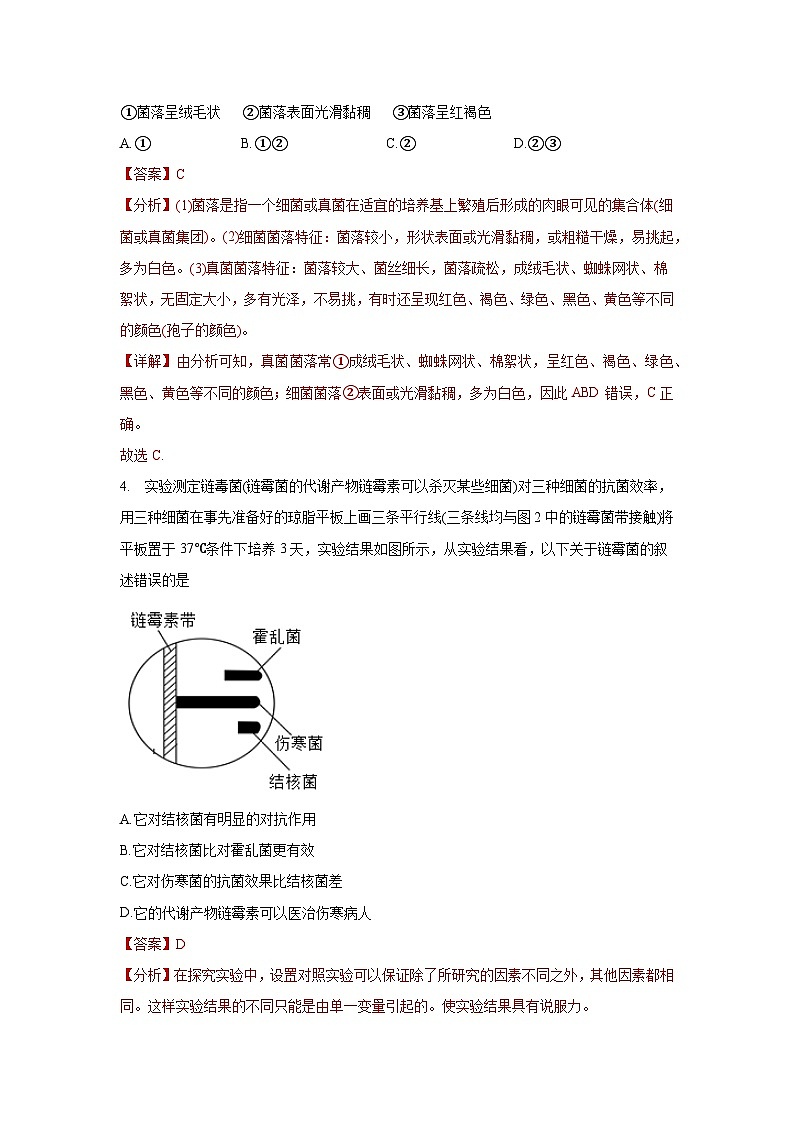 5.4 细菌和真菌 章末测试（解析版）第2页