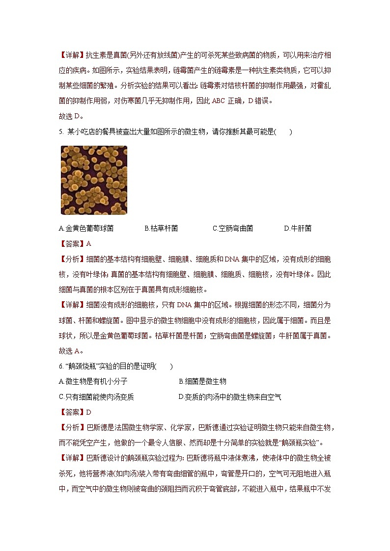 5.4 细菌和真菌 章末测试（解析版）第3页