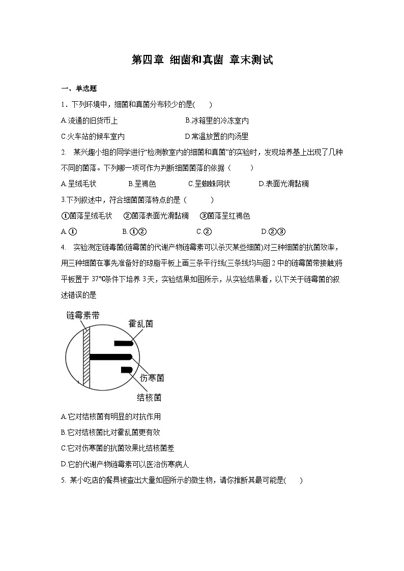5.4 细菌和真菌 章末测试（原卷版）第1页