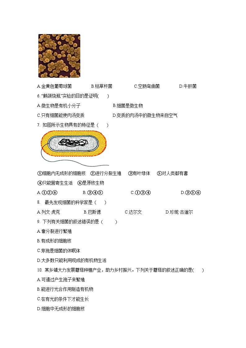 5.4 细菌和真菌 章末测试（原卷版）第2页