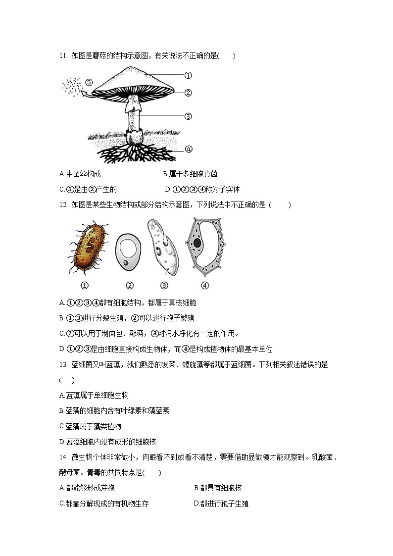 5.4 细菌和真菌 章末测试（原卷版）第3页
