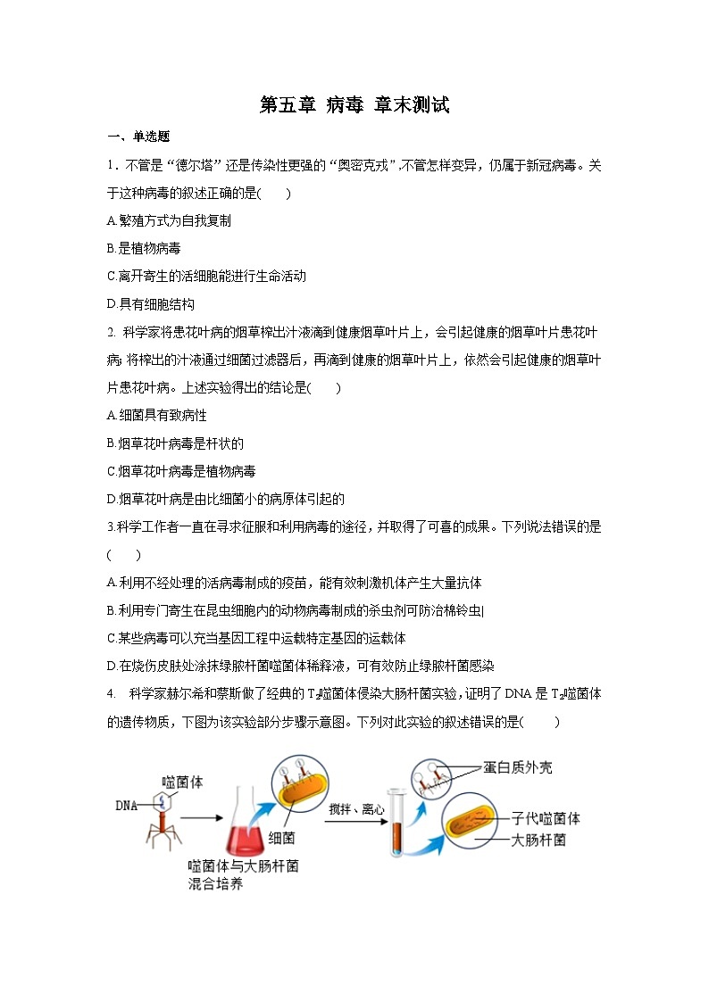 5.5+病毒（章末测试）01