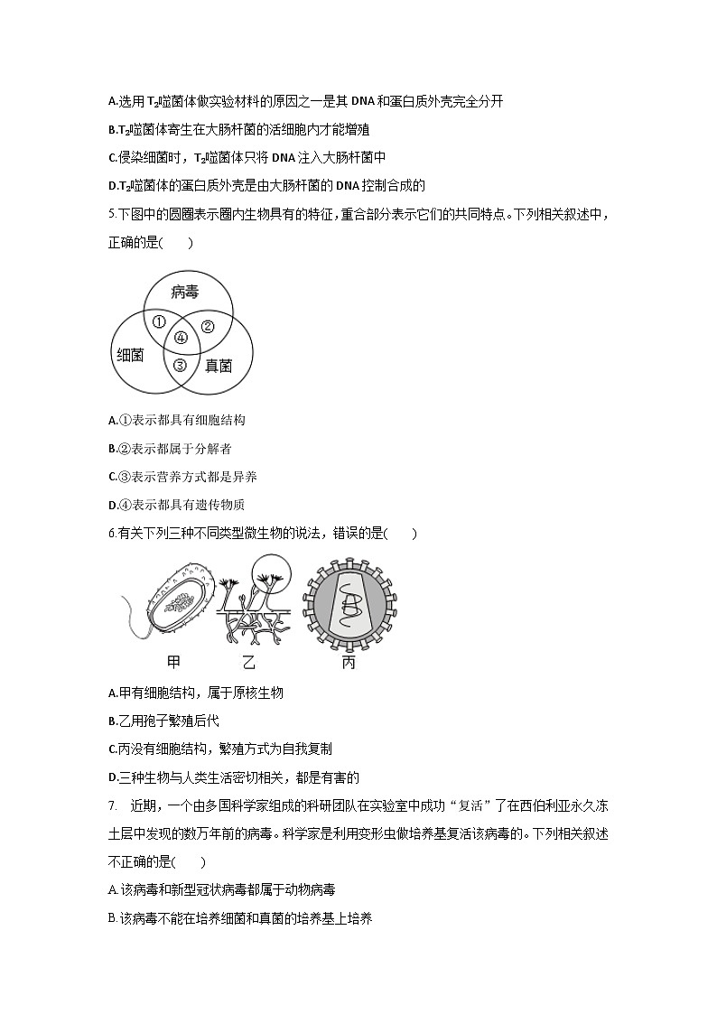 5.5+病毒（章末测试）02