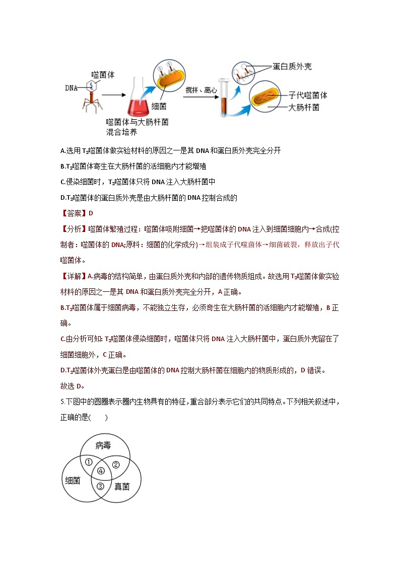 5.5+病毒（章末测试）03