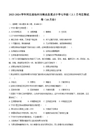 2023-2024学年河北省沧州市南皮县重点中学七年级（上）月考生物试卷（10月份）（含解析）