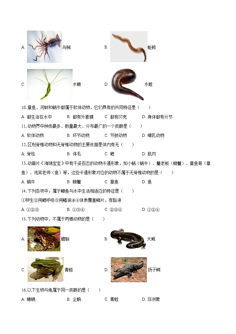 2023-2024学年湖南省邵阳市北塔区重点学校八年级（上）第一次月考生物试卷（含解析）02