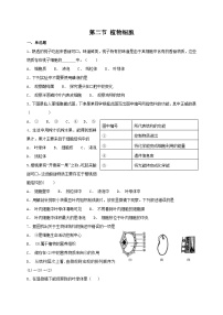 初中人教版 (新课标)第二节 植物细胞同步练习题