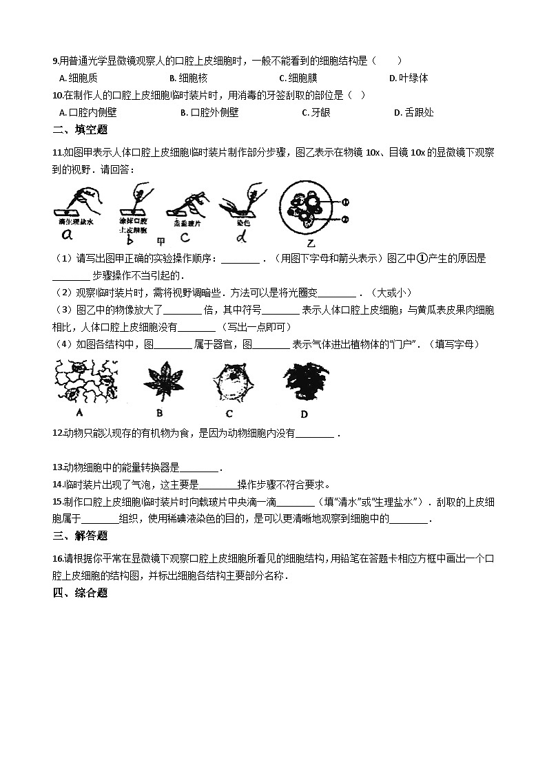 人教版七年级上册生物 2.1.3动物细胞 同步测试第2页