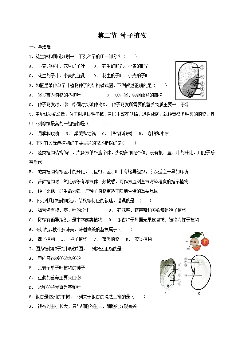 人教版七年级上册生物 3.1.2 种子植物 同步练习第1页