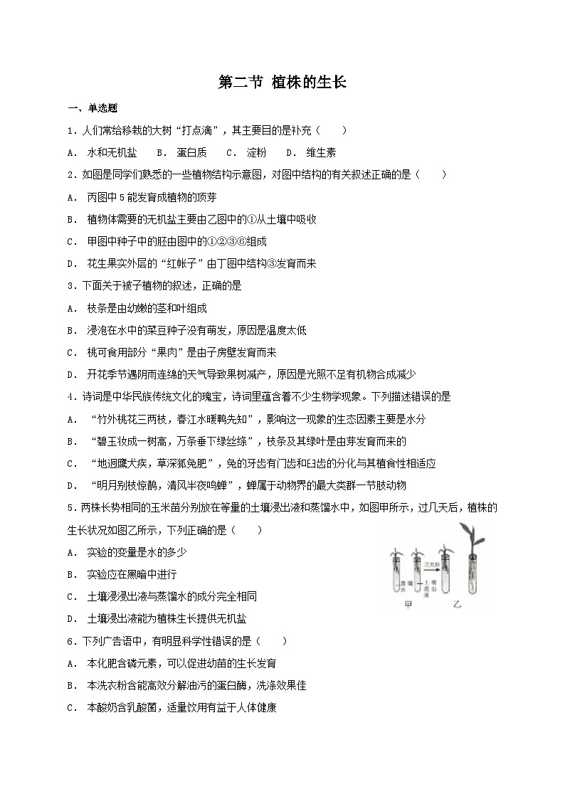 人教版七年级上册生物 3.2.2 植株的生长 同步练习01