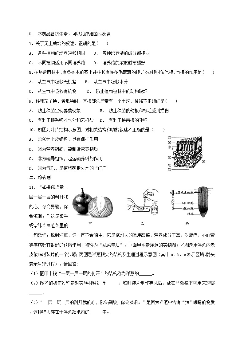 人教版七年级上册生物 3.2.2 植株的生长 同步练习02