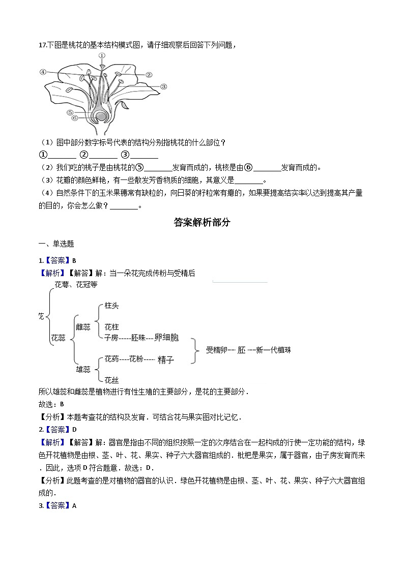 人教版七年级上册生物 3.2.3开花和结果 同步测试03
