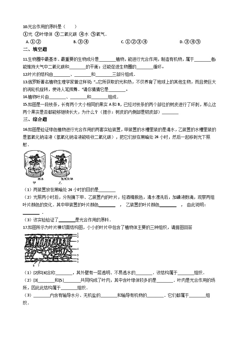 人教版七年级上册生物 3.4绿色植物是生物圈中有机物的制造者 同步测试02