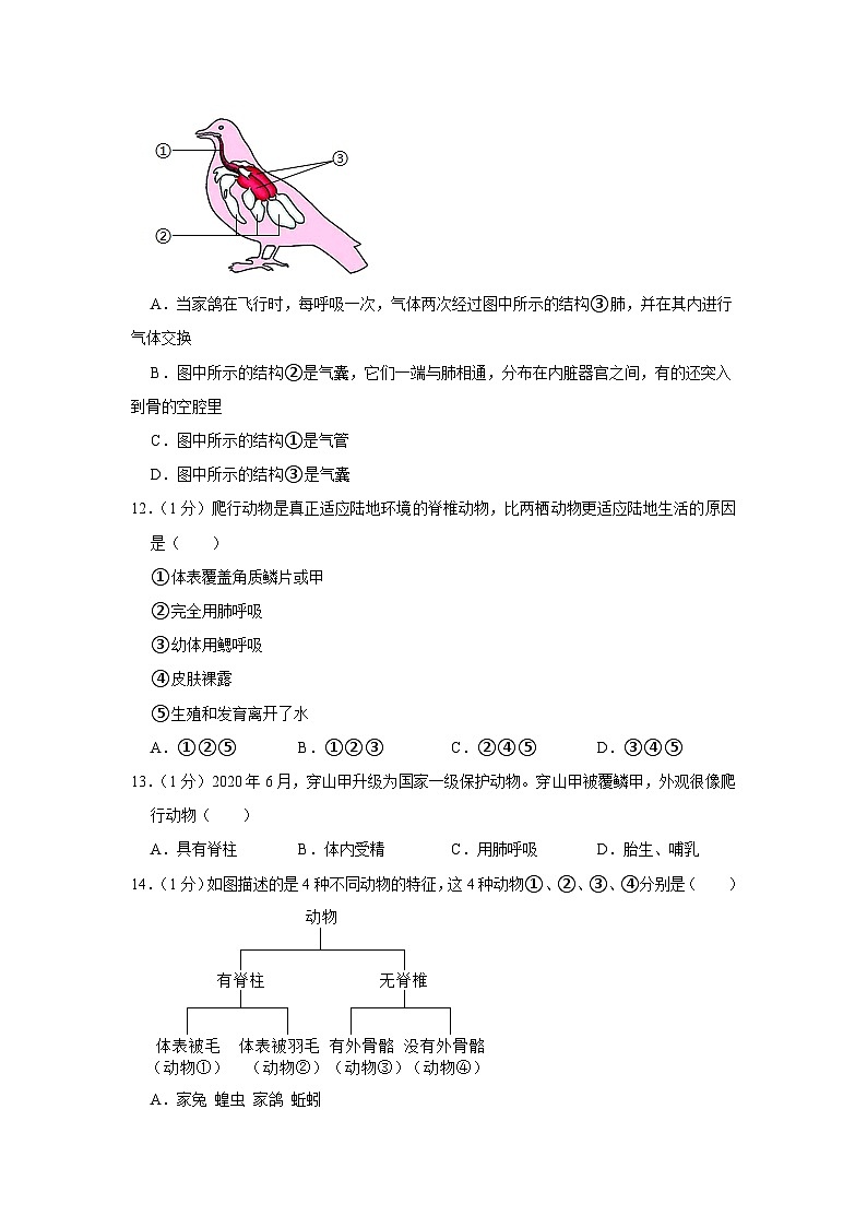 河南省南阳市第十九中学2023-2024学年八年级上学期第一次月考生物试卷03