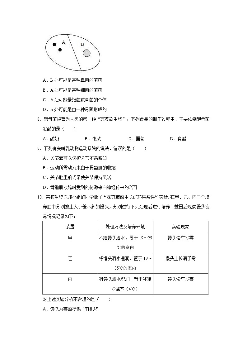 广西百色市2022-2023学年八年级上学期期中生物试卷02