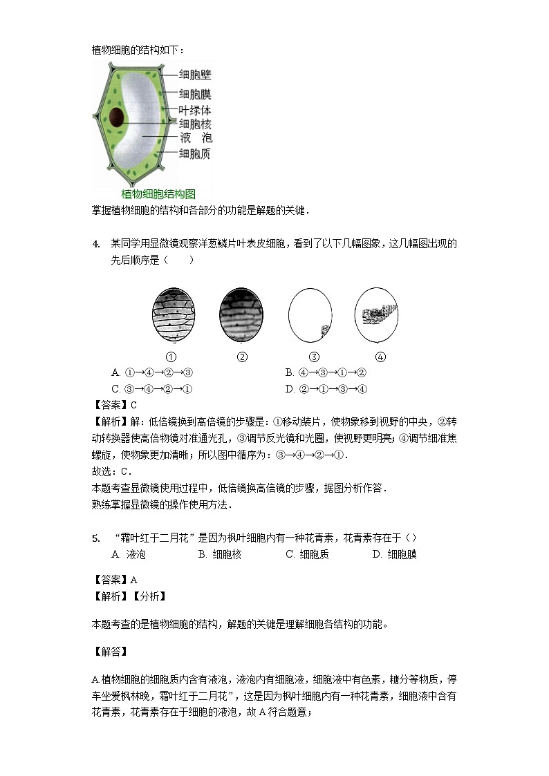人教版七年级生物上册2.1.2植物细胞练习（含解析）教师用卷第2页
