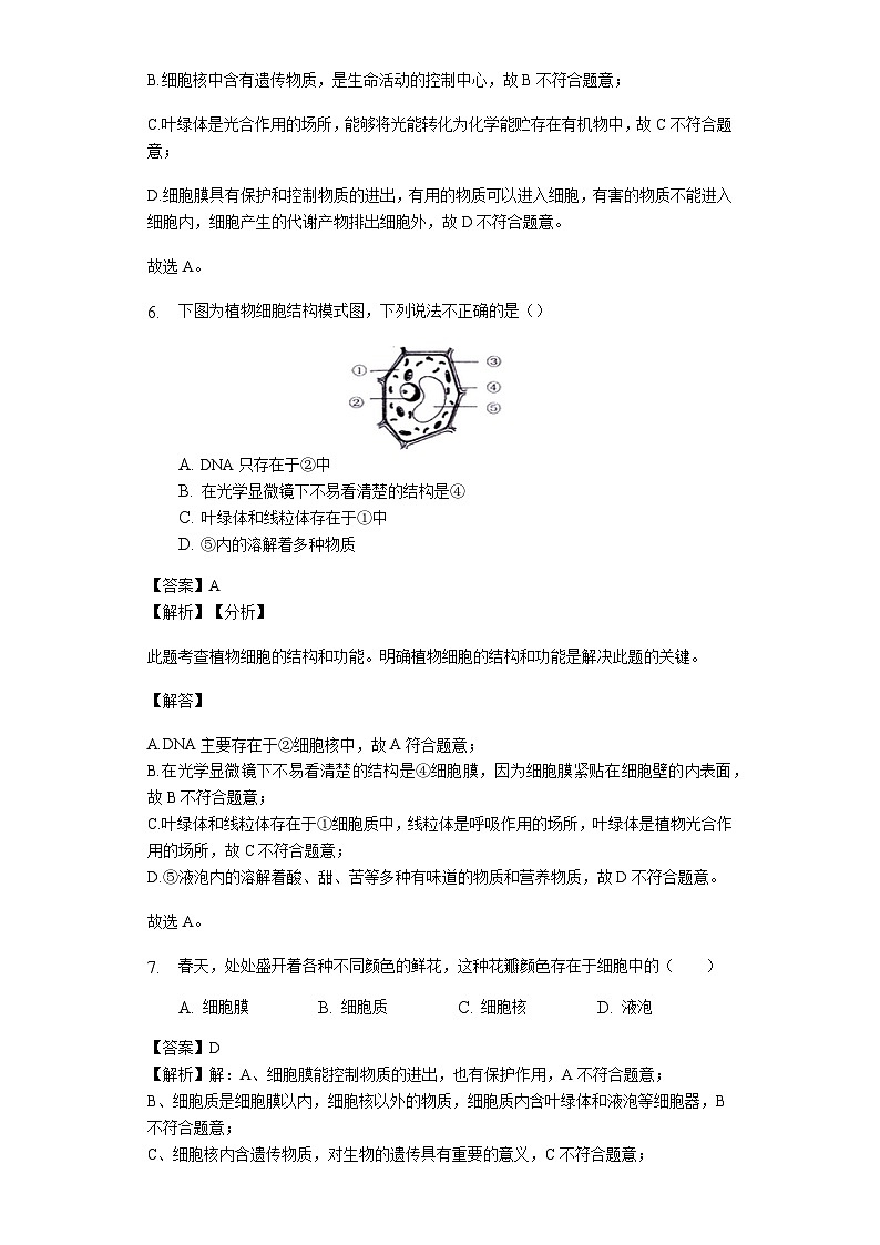 人教版七年级生物上册2.1.2植物细胞练习（含解析）教师用卷第3页