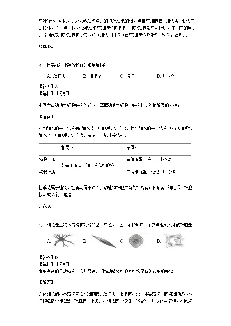 人教版七年级生物上册2.1.3 动物细胞练习（含解析）教师用卷02